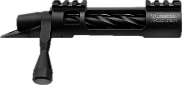 Terminus Apollo Lite action