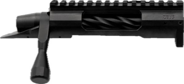 Terminus Zeus action