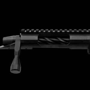 Terminus Zeus action