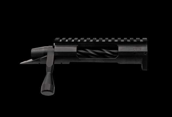 Terminus Zeus action